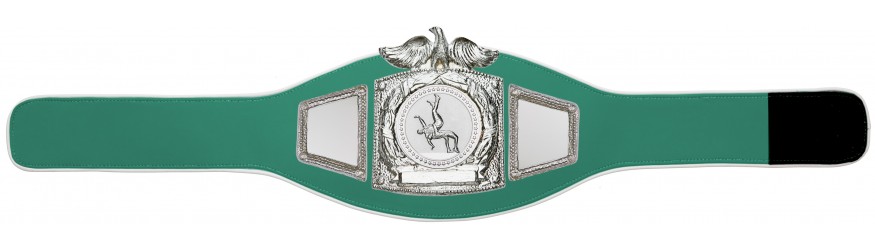 PROEAGLE WRESTLING CHAMPIONSHIP BELT - PROEAGLE/S/WRESTS - AVAILABLE IN 6+ COLOURS